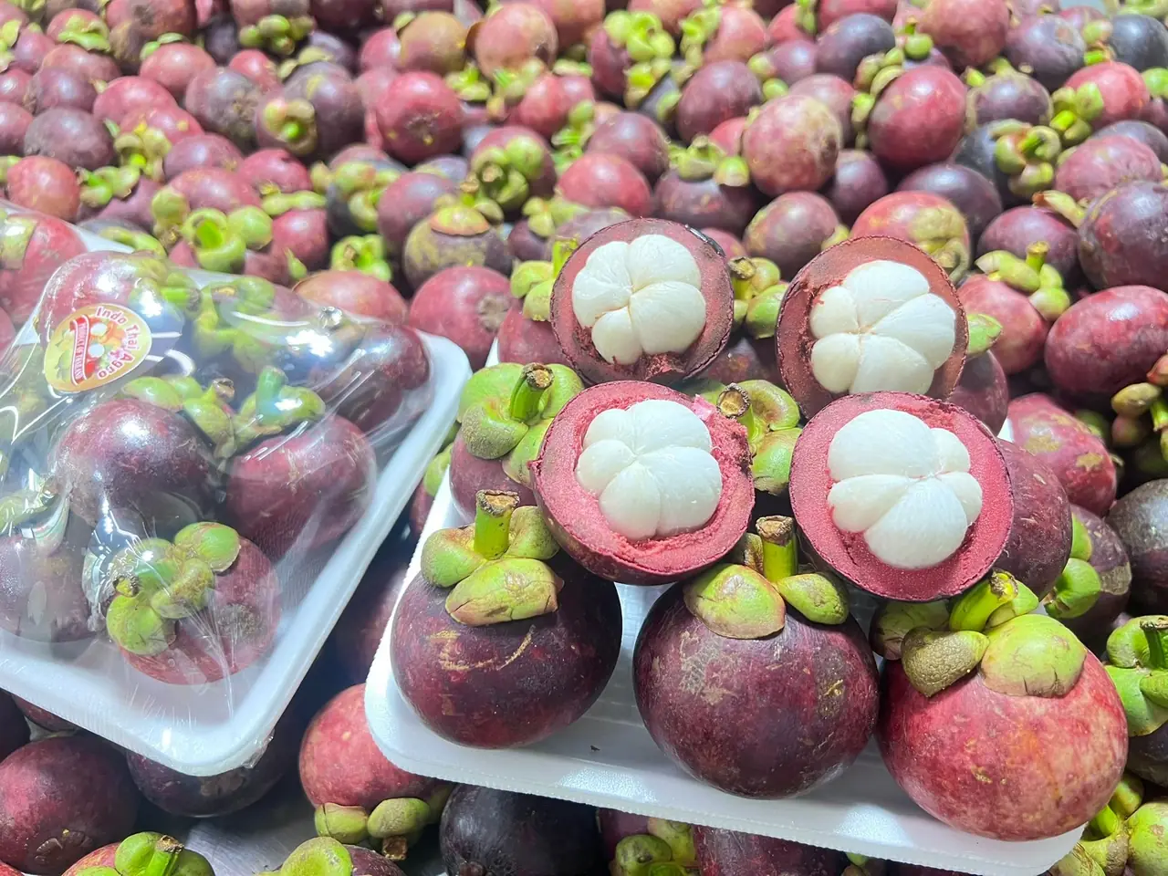 Mangosteen