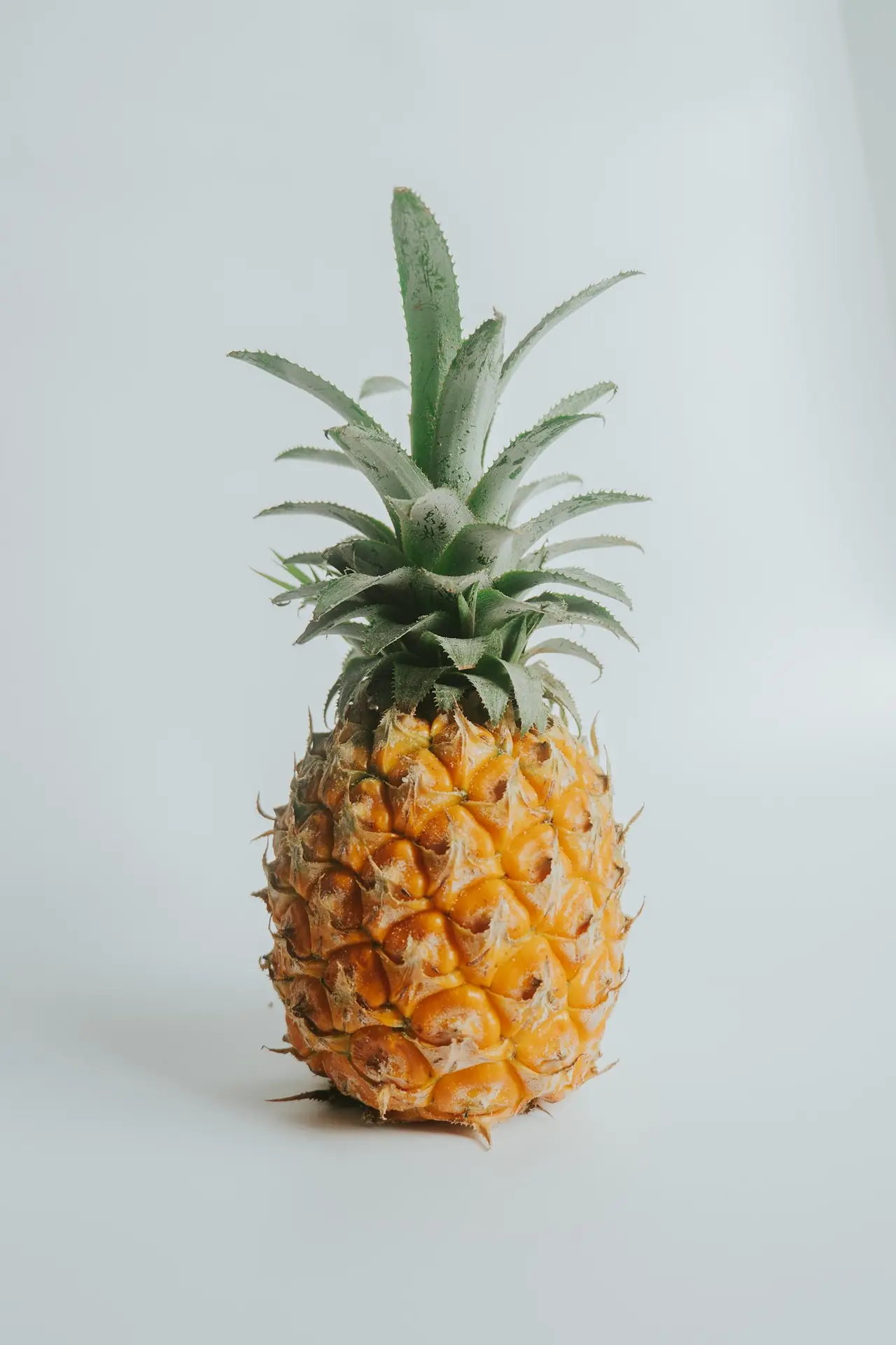 Thai Baby Pineapple
