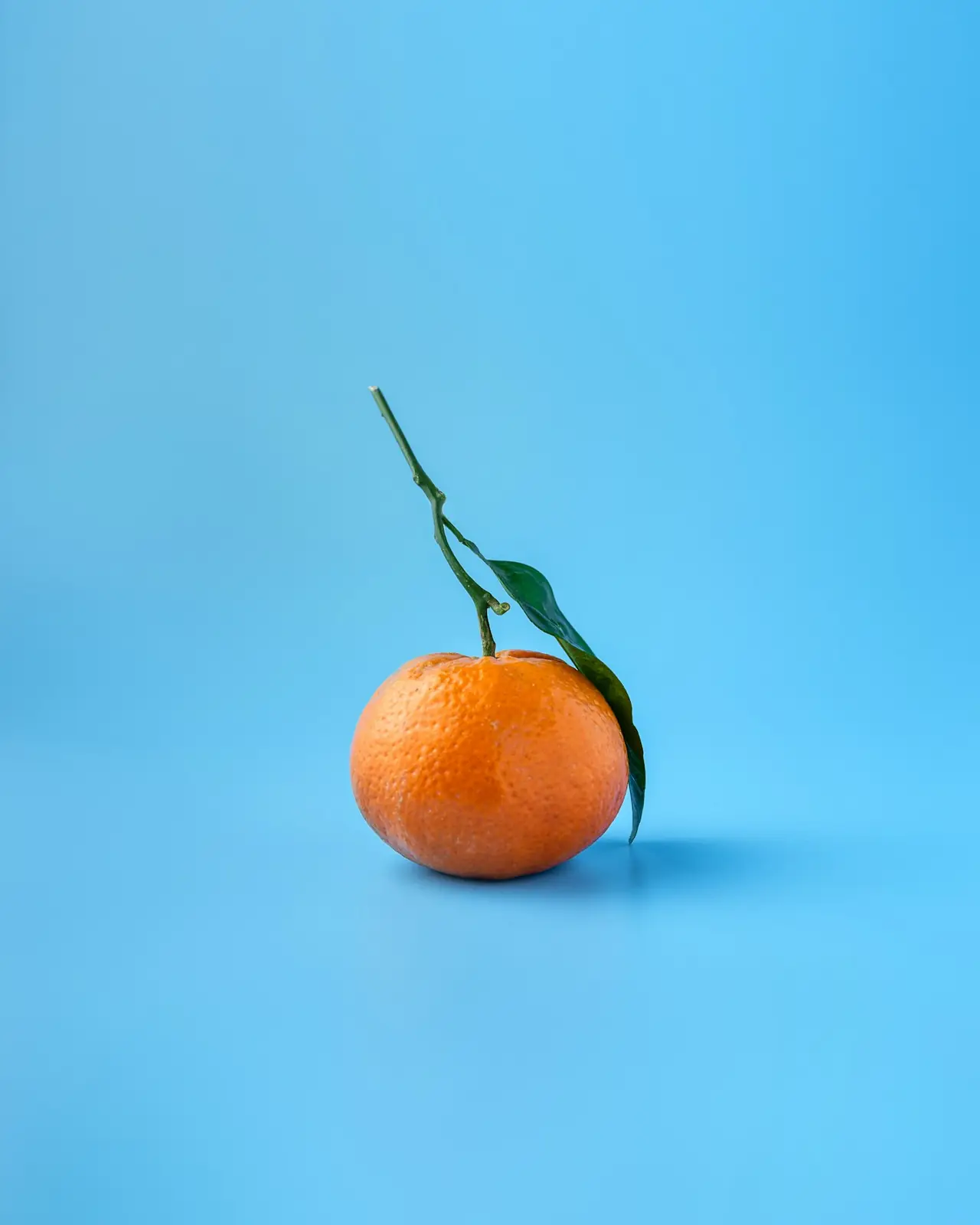 Valencia Oranges